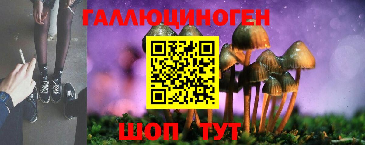 Псилоцибиновые грибы MAGIC MUSHROOMS  Вход с VPN  цены наркотик  Алексин 